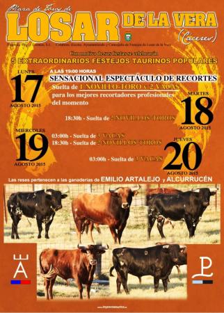 Cartel Toros.jpg