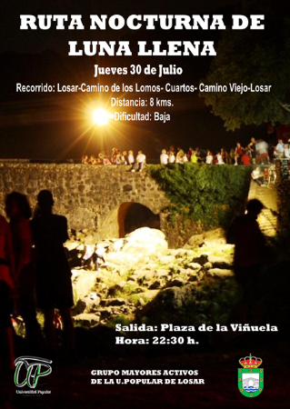 Ruta Nocturna 2015 web.png